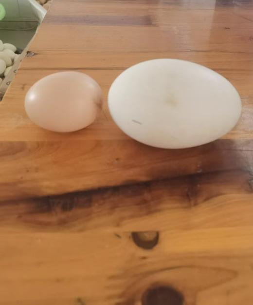 鹅蛋（4个/盒）重量一斤约3个 商品图4