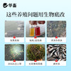 华畜生物底改双效改底王鱼虾蟹塘解毒调水增氧除臭水产养殖净水宝 商品缩略图1
