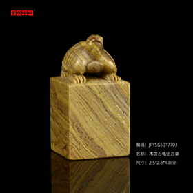 孤品17703 木纹石龟钮方章姓名章书画印章藏书印-2.5*2.5*4.8cm