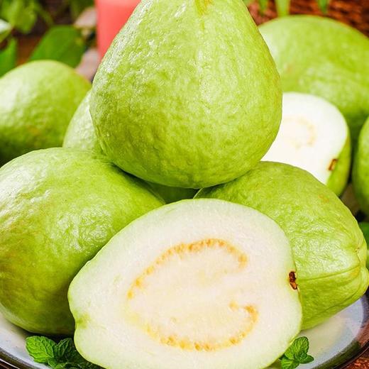 【CHUAN】红白双拼芭乐12枚 礼盒装4.5到5斤顺丰快递 商品图2