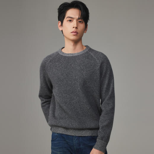 PALUOPO/PL 100%山羊绒圆领男衫ET23937R/约重330g帕罗 商品图4