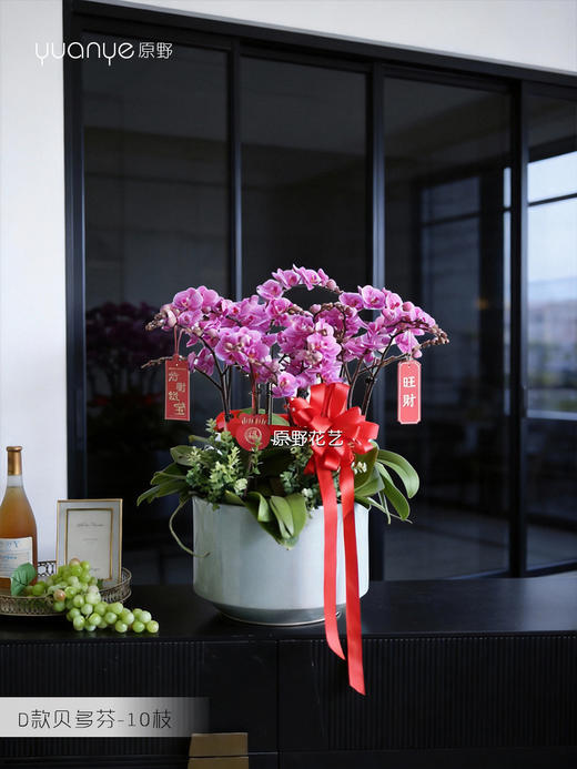 10支【贝多芬】蝴蝶兰 商品图0