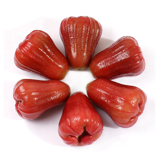 【CHUAN】海南黑金刚莲雾礼盒装，顺丰空运5斤大果（20-23个) 【礼盒装】顺丰空运 商品图1