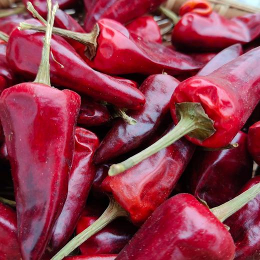 正宗贵州辣子鸡半成品 20 分钟速成大厨级硬菜 商品图3