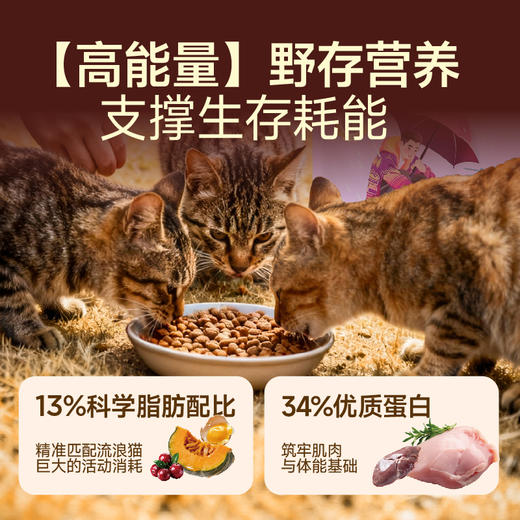喵铮铮 鲜肉无谷  金标全价爱心猫粮  添加乳酸链球菌素(45%鲜肉)  【配方升级】 商品图3