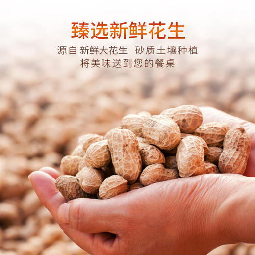 健机经典浓香花生油 5L 商品图2