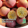 【新疆阿克苏苹果】脆甜多汁现摘现发 果香浓郁果肉细腻 商品缩略图3
