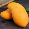 水仙芒 大芒果 商品缩略图1