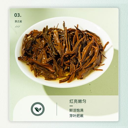 【祁门红茶】乌润卷曲金毫显露 蜜香浓郁醇厚回甘 商品图3