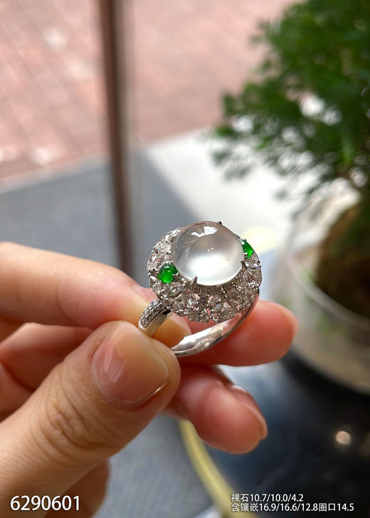 6290601，蛋面戒指。具体价格微信咨询 商品图0