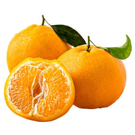 【CHUAN】四川春见耙耙柑 【精品套袋果】净重9斤果王 90-100mm 14个内顺丰快递