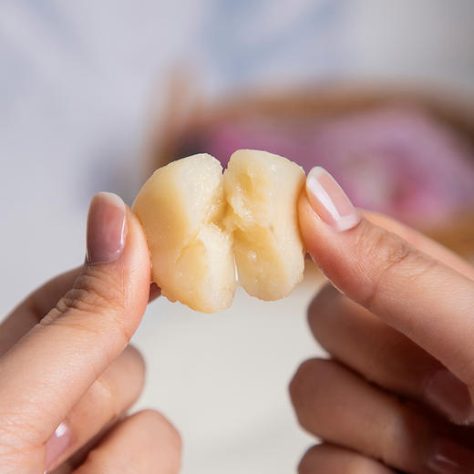 【超值10包装】栗栗家 冰糖脆马蹄 颗粒饱满 爽脆可口 60g*10袋 商品图8