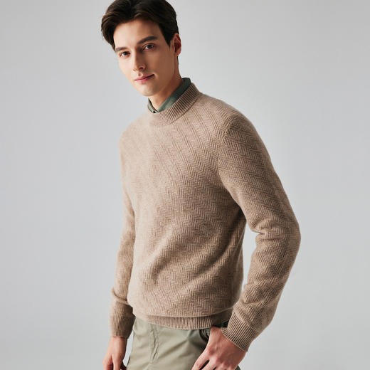 PALUOPO/PL 100%山羊绒 半高领男衫/ET2F8131R/约重300g帕罗 商品图1