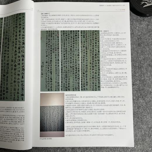 【十三届行书作品解析与创作手记】十三届行书作品集 商品图1