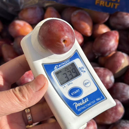 澳洲空运西梅 商品图2