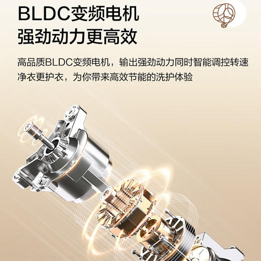 海尔（Haier）洗衣机 EG100HMAX29S 商品图5