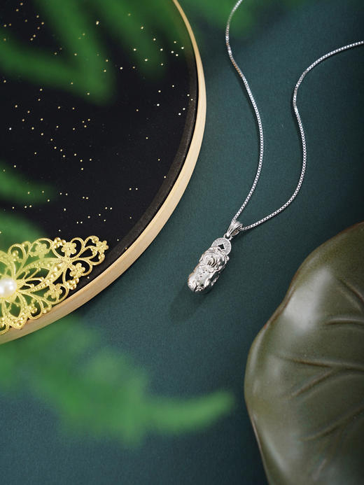 子佩集【貔貅护心】银S925套链【FYL-2212】项链时尚貔貅2601 商品图2