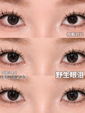 sharkolens半年抛美瞳 野生眼泪 14.2mm