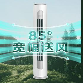 格力（GREE）3匹 京爽Pro 新一级能效变频冷暖 wifi智控 纯铜管 立柜式空调柜机KFR-72LW/(72504)FNhAe-B1(WIFI)