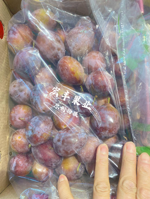 【宏丰精选】西梅新鲜到货  口感纯甜 肉厚 商品图5