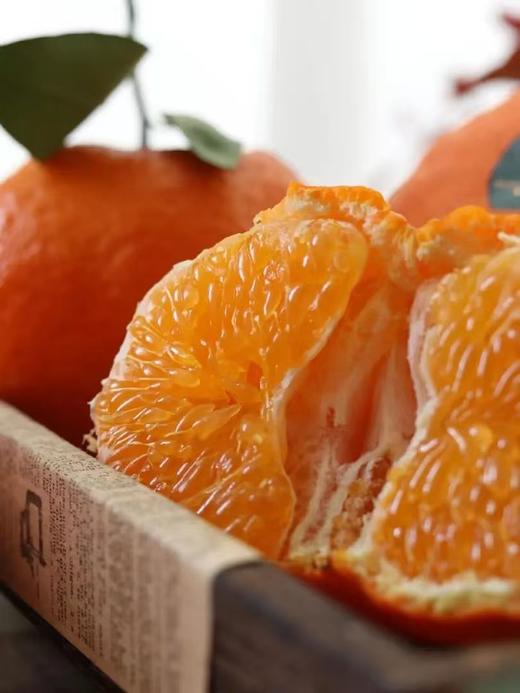 大橘甘平  8-12枚约5.5-6斤礼盒装 商品图12