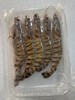 周三取货：【吕四竹节虾】一盒250克左右，约5-6个，肉质紧实Q弹！ 商品缩略图2