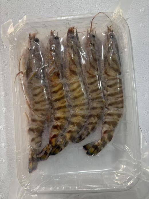 周三取货：【吕四竹节虾】一盒250克左右，约5-6个，肉质紧实Q弹！ 商品图2