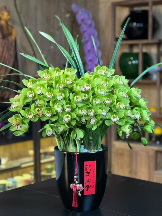 高端花卉紫馨拱兰专送香港澳门广州佛山珠三角地区 商品图3