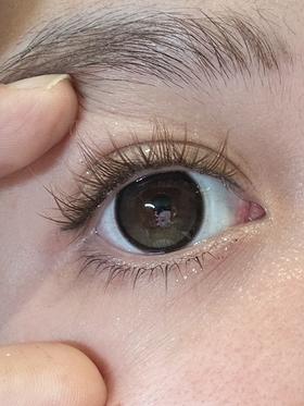 wecute日抛美瞳 抹茶派 14.5mm