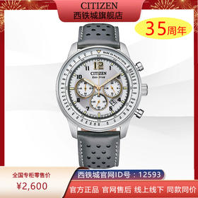 西铁城官方正品FF系列熊猫盘光动能男士手表CA4500-24H