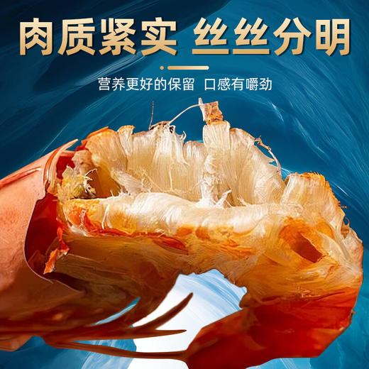 原味九节虾干 商品图1