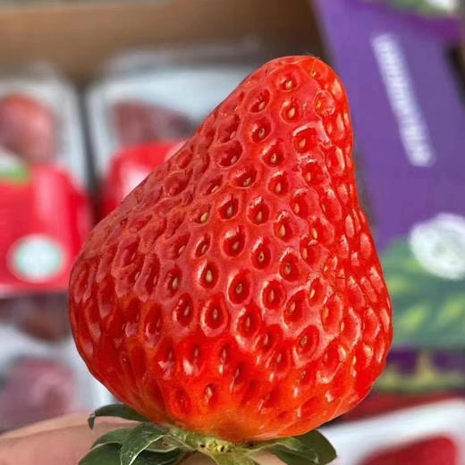 丹东红颜九九草莓-四盒装 商品图1