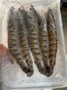 周三取货：【吕四竹节虾】一盒250克左右，约5-6个，肉质紧实Q弹！ 商品缩略图4