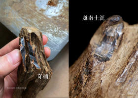 奇楠是沉香，但沉香≠奇楠！