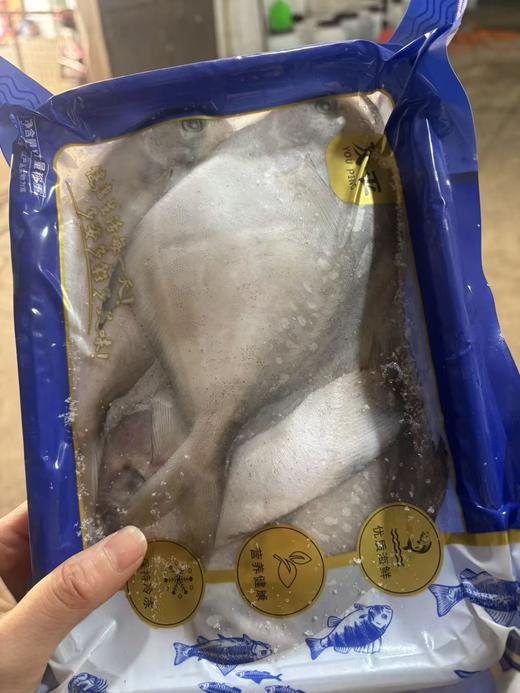 周三取货：【吕四鲳鱼】一袋1斤左右，约 5-6条 ，肉质超级细嫩，深海捕捞，纯正野生！ 商品图3