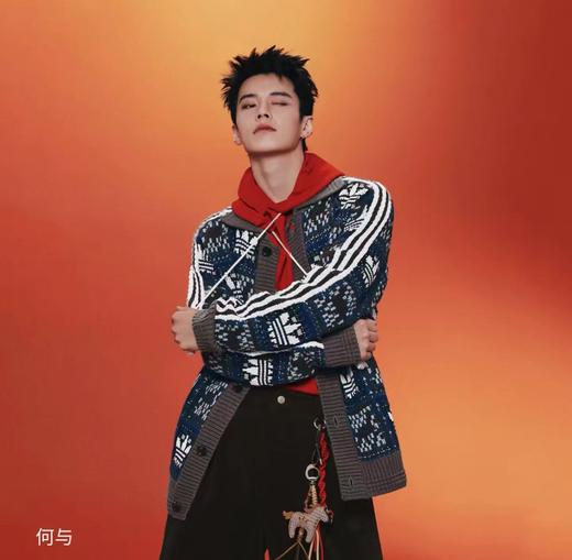 F020140新款时尚夹克翻领提花针织开衫女款 商品图11