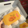 【居家必备树上熟枇杷】川宝鲜枇杷，家中常备，全家人都需要的水果 商品缩略图9