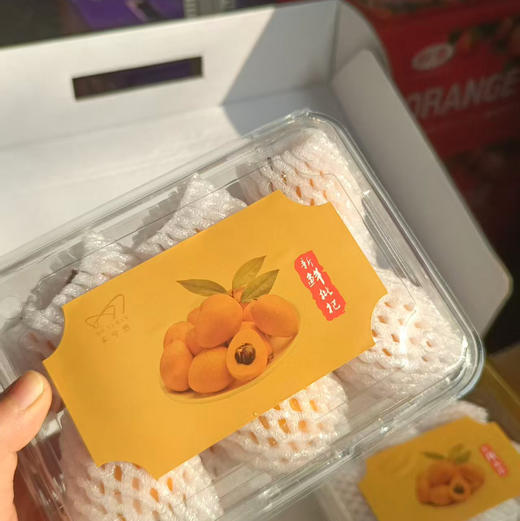 【居家必备树上熟枇杷】川宝鲜枇杷，家中常备，全家人都需要的水果 商品图9