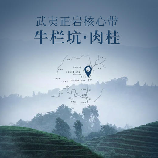 华祥苑国缤茶 小蓝罐 牛肉桂 茶叶 6罐装 礼盒 商品图2