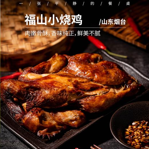 福山大面 /烧小鸡入口爽滑 大面筋道十足 福山烧鸡 肉嫩骨酥 香味纯正 鲜美不腻 加热即食是我们山东省级非遗老手艺 太好吃了 /极客严选⭐️顺丰/京东随机发 商品图1