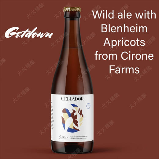 塞拉多艾尔 尽情狂欢 500ml 商品图0