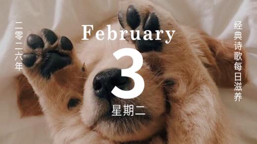 当世界说“要更多”，小狗却说“你在就好” 商品图0