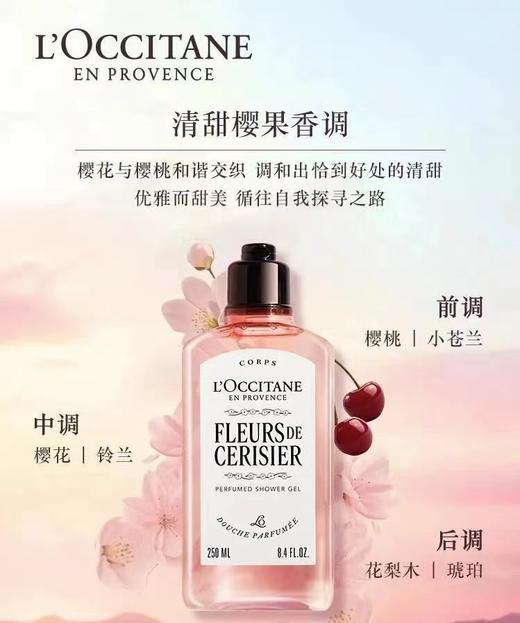 F020130樱花套盒新版身体乳250ML+沐浴露250ML 商品图11