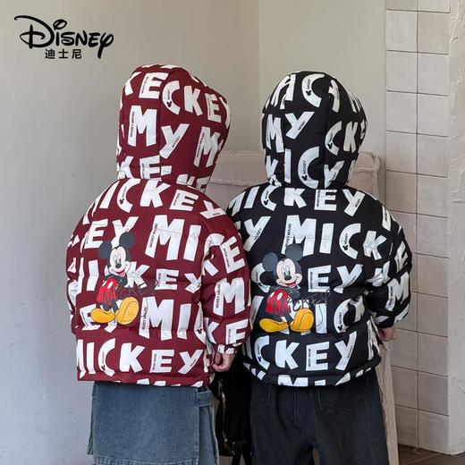 迪士尼儿童羽绒服新款中小童装白鸭绒男女童加厚连帽外套 商品图2