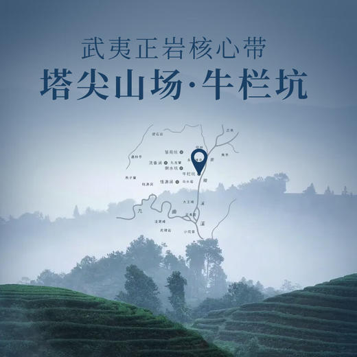 华祥苑 国缤茶 六星 牛肉桂 茶叶 礼盒 商品图2