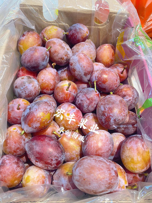 【宏丰精选】西梅新鲜到货  口感纯甜 肉厚 商品图4