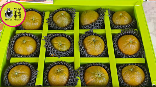 【稀有】巧克力橙🍊礼盒 商品图2