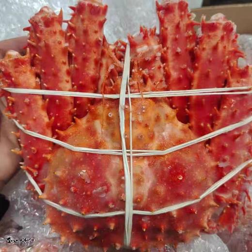 【冻品】帝王岛帝王蟹  肥满度8-9成  按斤补差价 商品图0