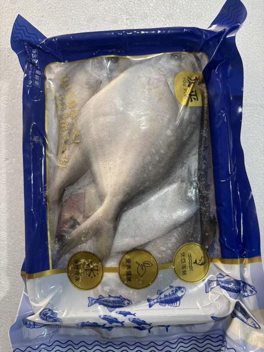 周三取货：【吕四鲳鱼】一袋1斤左右，约 5-6条 ，肉质超级细嫩，深海捕捞，纯正野生！ 商品图2
