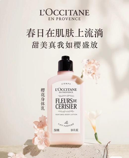 F020130樱花套盒新版身体乳250ML+沐浴露250ML 商品图9